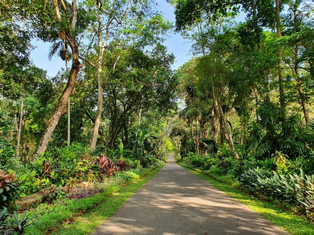 Royal Botanic Gardens